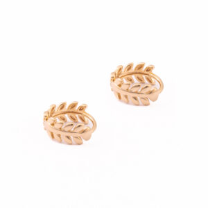 Argolinha Folhas Gold M