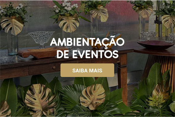 banner ambientacao